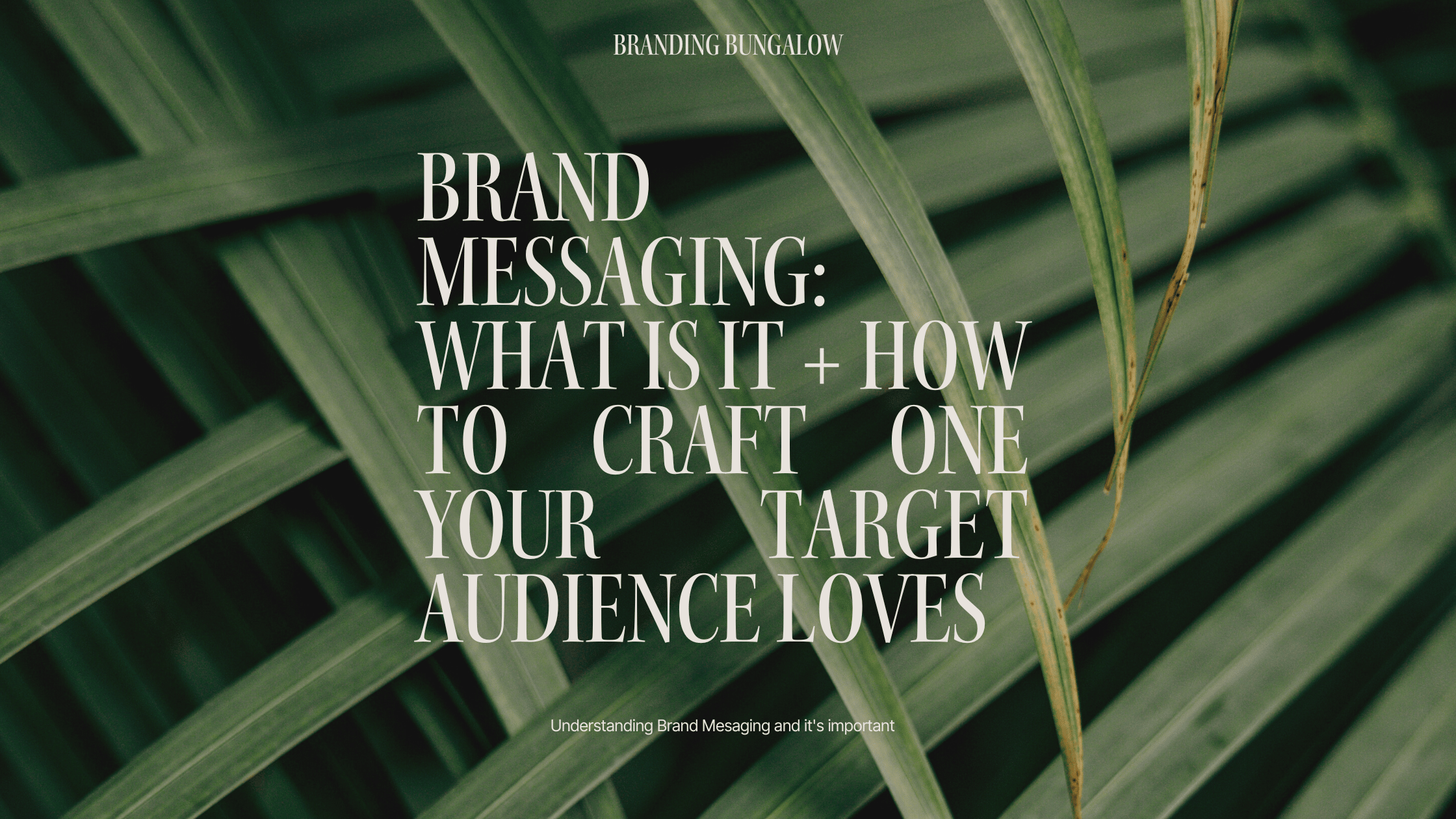 green palm leaves in the background with white letterings with the words "Brand Messaging: What is it + How to Craft One Your Target Audience Loves"